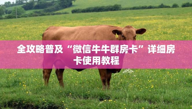 庙东百科《金华牛牛房卡出售》详细房卡教程