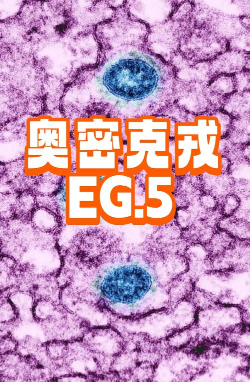 奥密克戎本土破防及奥密克戎o含义介绍