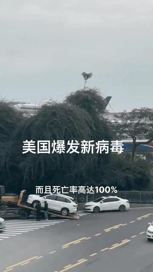 美国肺炎疫情最新消息：累计9例确诊情况